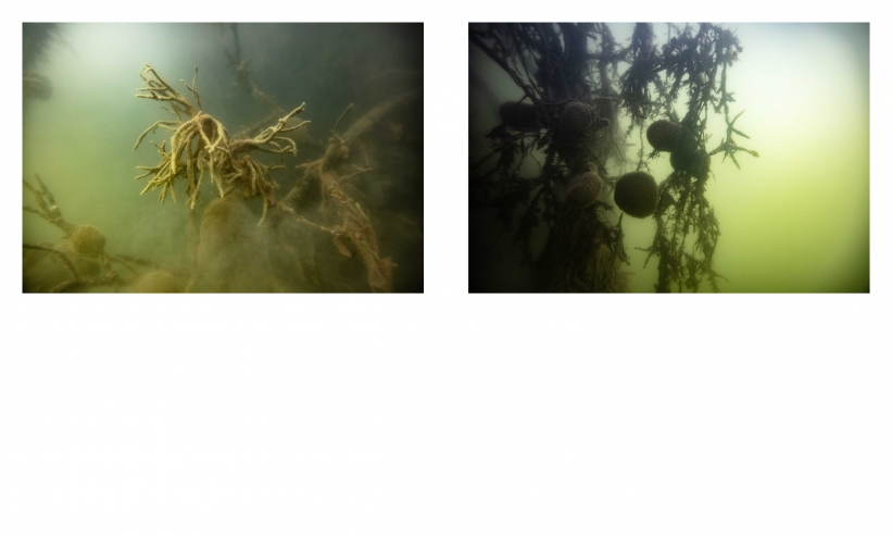http://kristofguez.com/files/gimgs/th-125_PENSER-AQUATIQUE-NET©Kristof-Guez-7.jpg