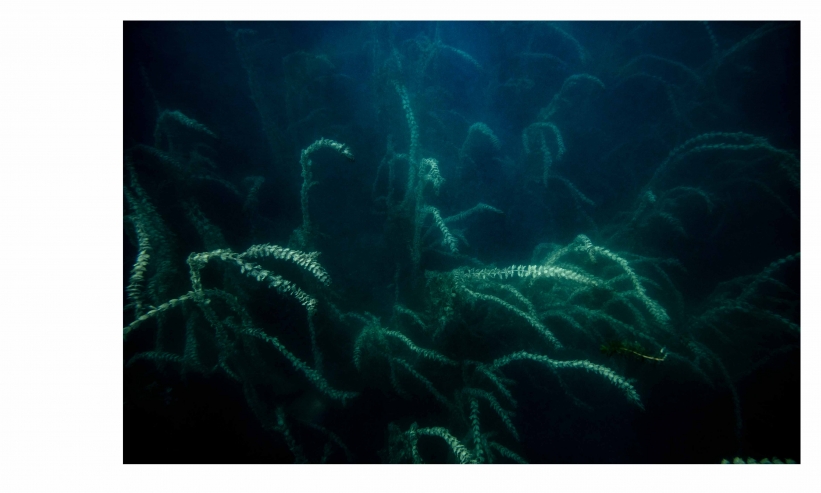 http://kristofguez.com/files/gimgs/th-125_PENSER-AQUATIQUE-NET©Kristof-Guez-4.jpg