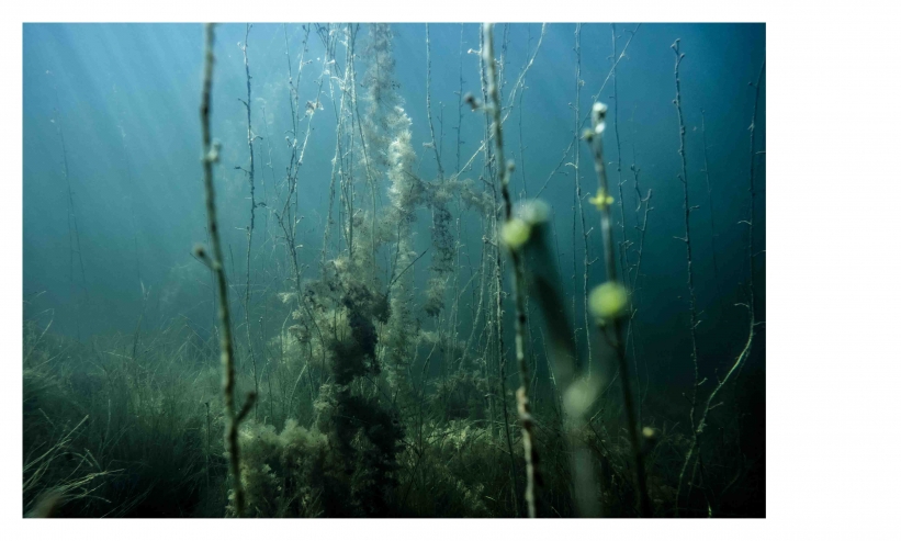 http://kristofguez.com/files/gimgs/th-125_PENSER-AQUATIQUE-NET©Kristof-Guez-6.jpg