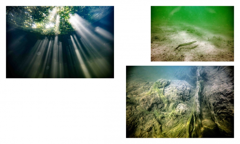 http://kristofguez.com/files/gimgs/th-125_PENSER-AQUATIQUE-NET©Kristof-Guez-13.jpg