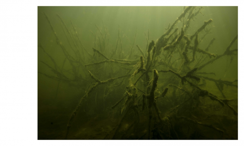 http://kristofguez.com/files/gimgs/th-125_PENSER-AQUATIQUE-NET©Kristof-Guez-11.jpg