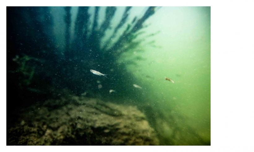 http://kristofguez.com/files/gimgs/th-125_PENSER-AQUATIQUE-NET©Kristof-Guez-12.jpg