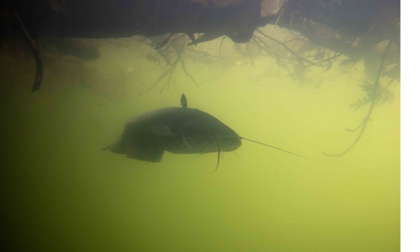 http://kristofguez.com/files/gimgs/th-125_PENSER-AQUATIQUE-NET©Kristof-Guez-14.jpg