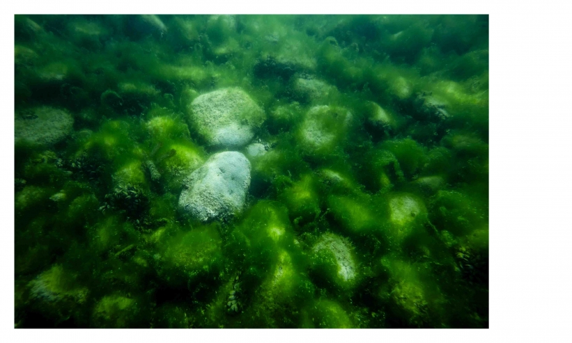 http://kristofguez.com/files/gimgs/th-125_PENSER-AQUATIQUE-NET©Kristof-Guez-19.jpg