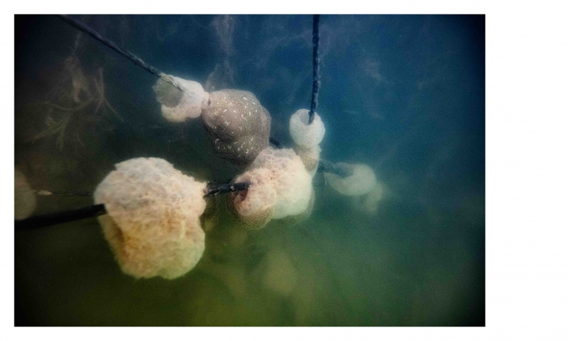 http://kristofguez.com/files/gimgs/th-125_PENSER-AQUATIQUE-NET©Kristof-Guez-18.jpg