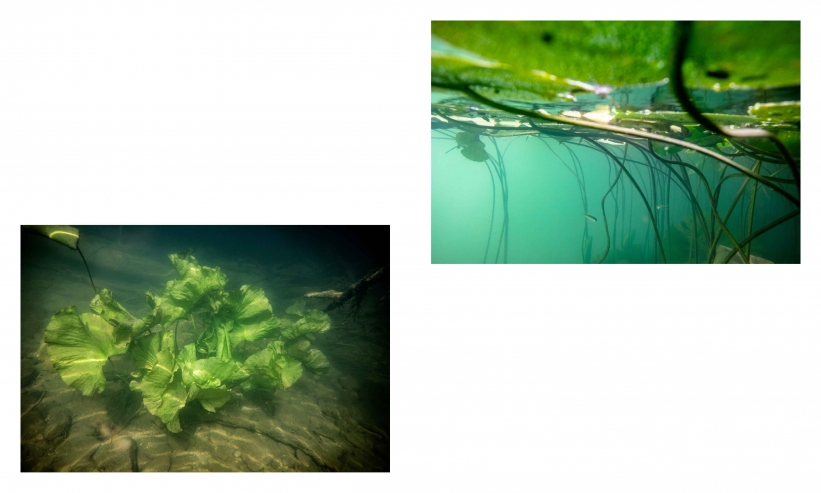 http://kristofguez.com/files/gimgs/th-125_PENSER-AQUATIQUE-NET©Kristof-Guez-20.jpg