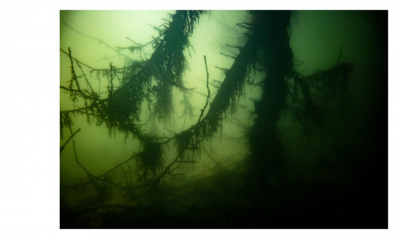 http://kristofguez.com/files/gimgs/th-125_PENSER-AQUATIQUE-NET©Kristof-Guez-21.jpg