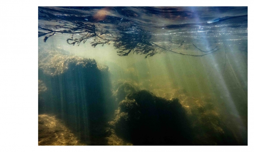 http://kristofguez.com/files/gimgs/th-125_PENSER-AQUATIQUE-NET©Kristof-Guez-22.jpg