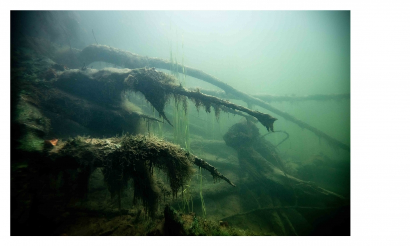 http://kristofguez.com/files/gimgs/th-125_PENSER-AQUATIQUE-NET©Kristof-Guez-23.jpg