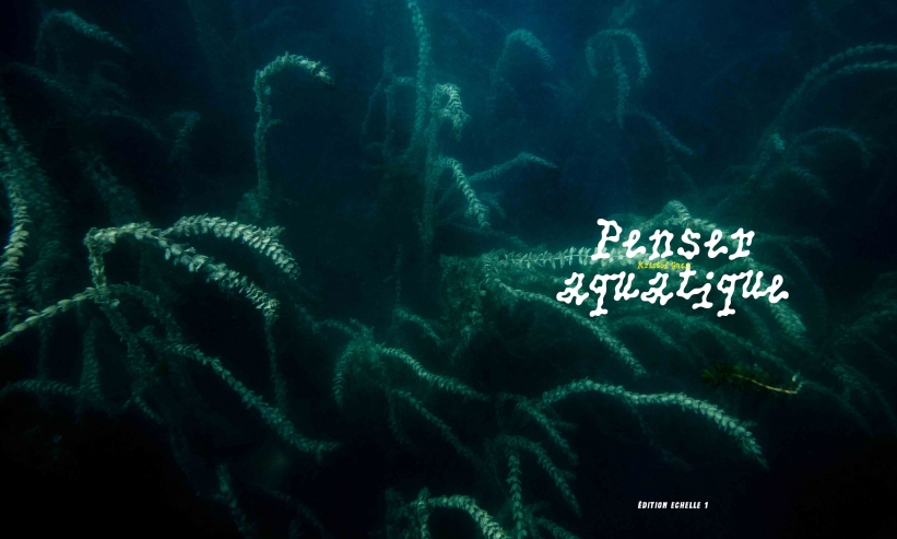 http://kristofguez.com/files/gimgs/th-125_PENSER-AQUATIQUE-NET©Kristof-Guez.jpg