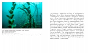 http://kristofguez.com/files/gimgs/th-125_PENSER-AQUATIQUE-NET©Kristof-Guez-3.jpg